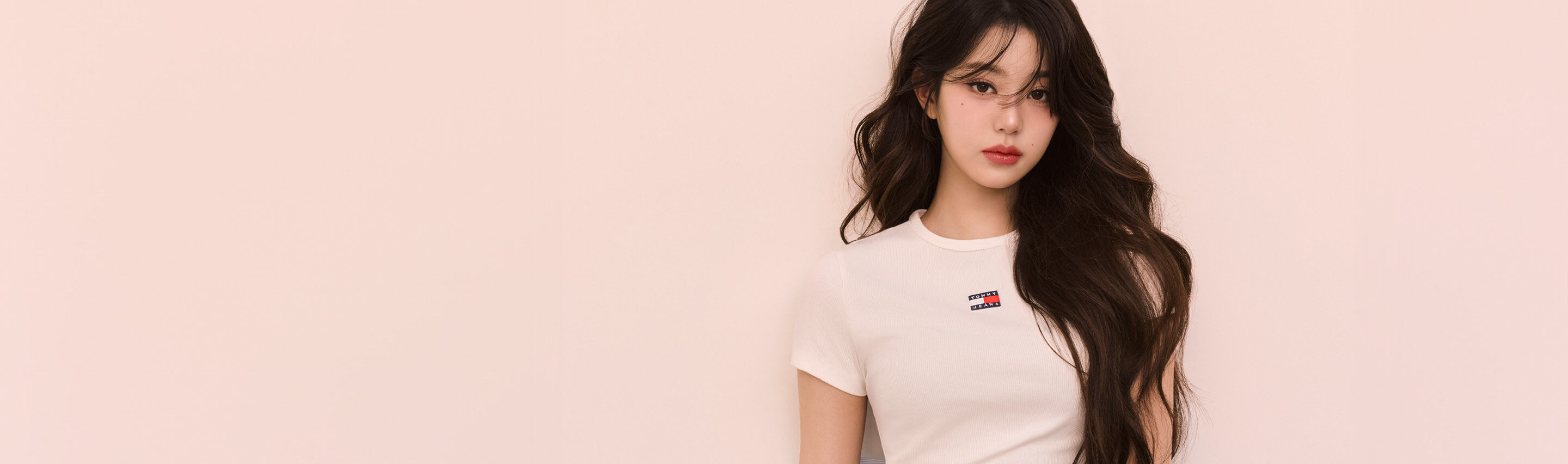 Tommy Hilfiger Tshirts