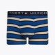 Blanket Stripe Des Sky