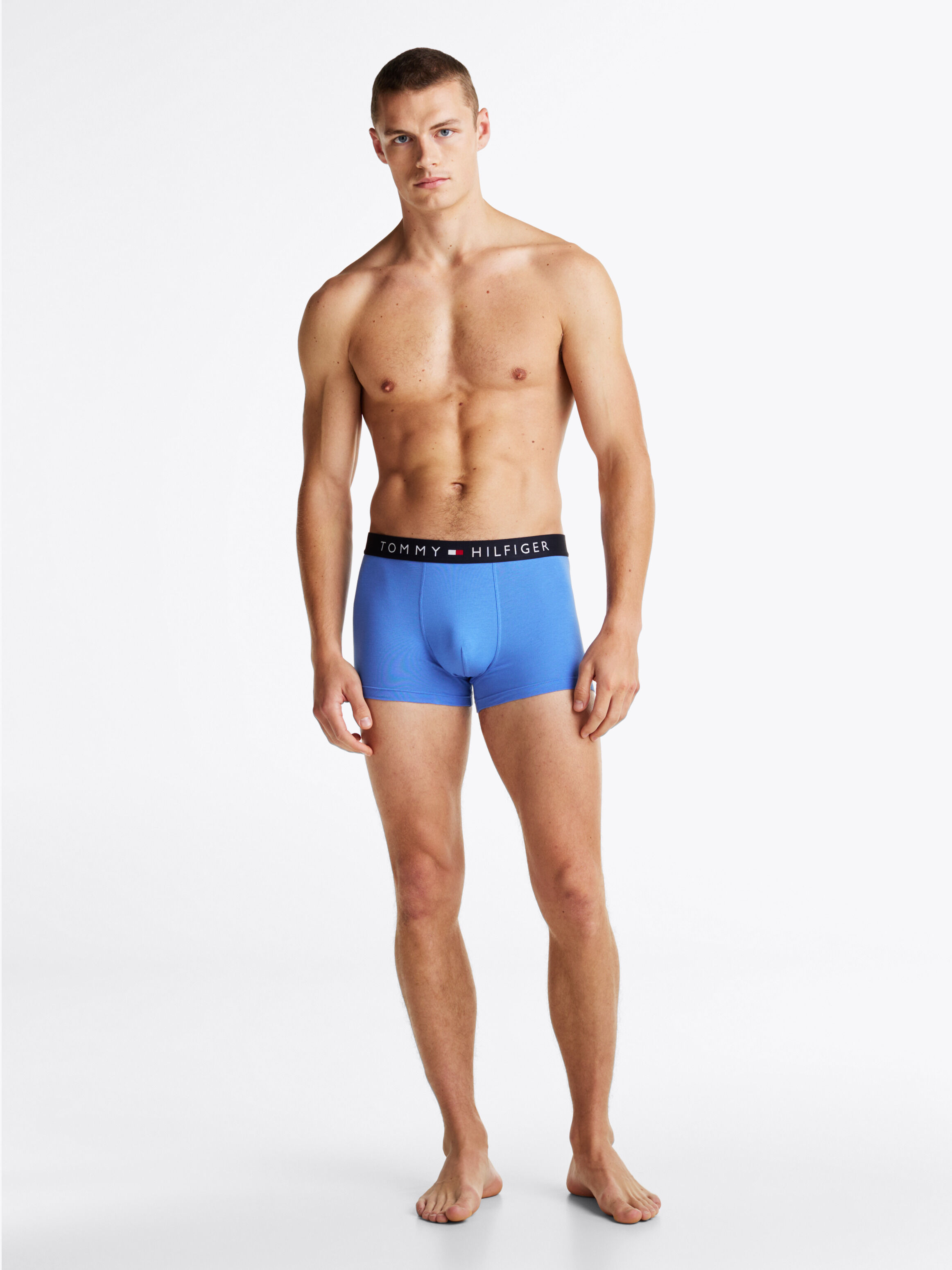 Tommy hilfiger mens trunks on sale