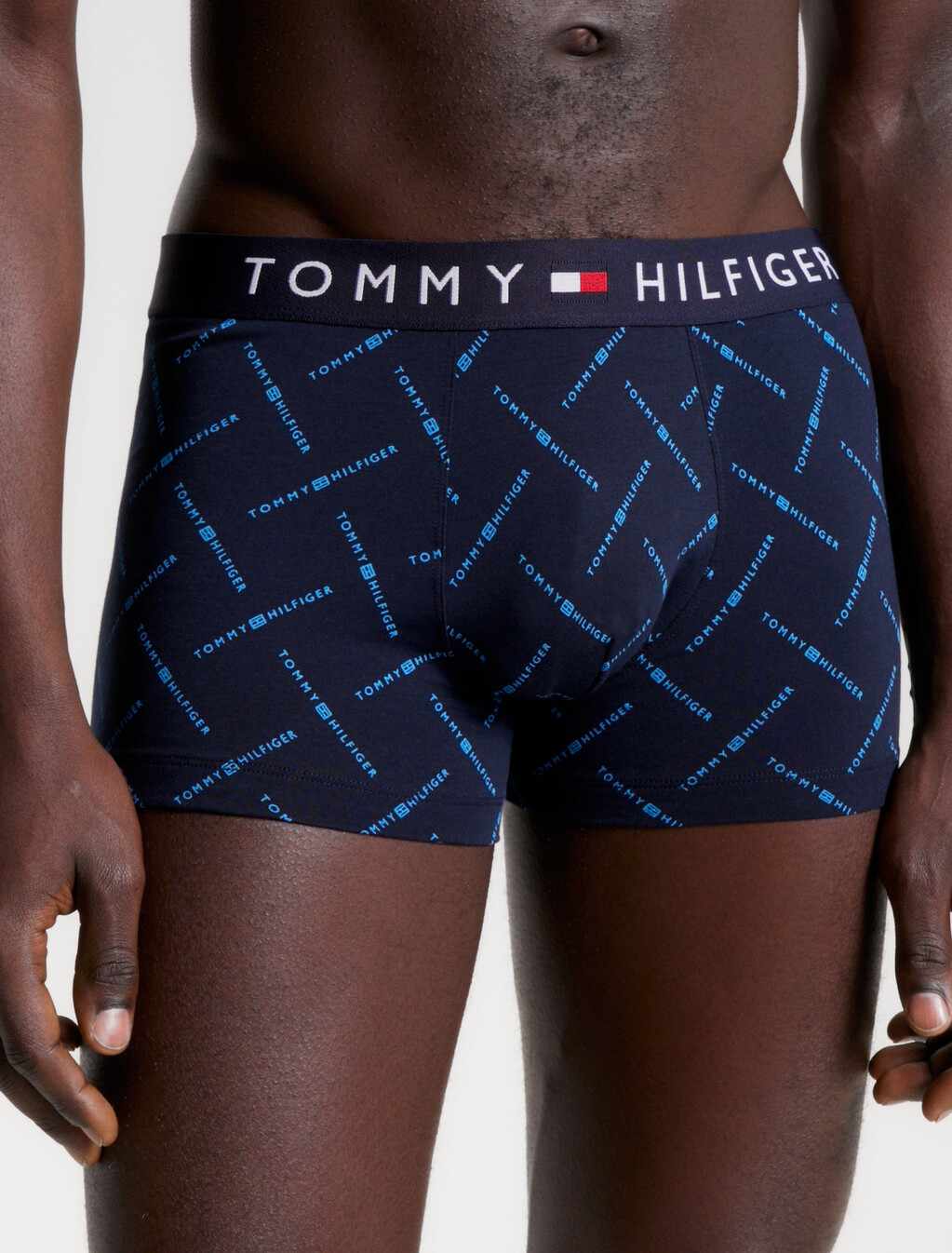Print Trunks, Hilfiger Logo Aop, hi-res