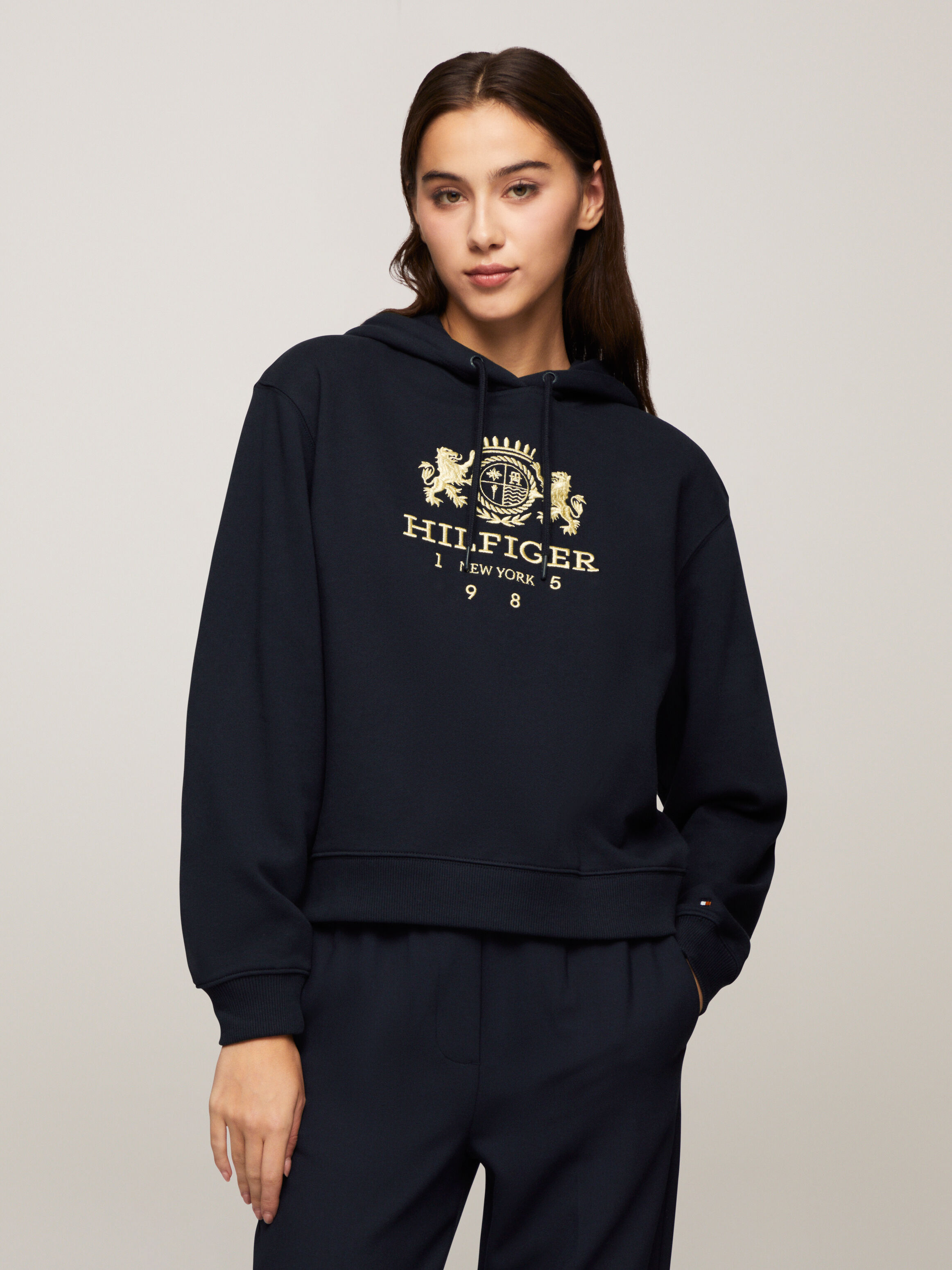 Crest hoodie tommy hilfiger on sale