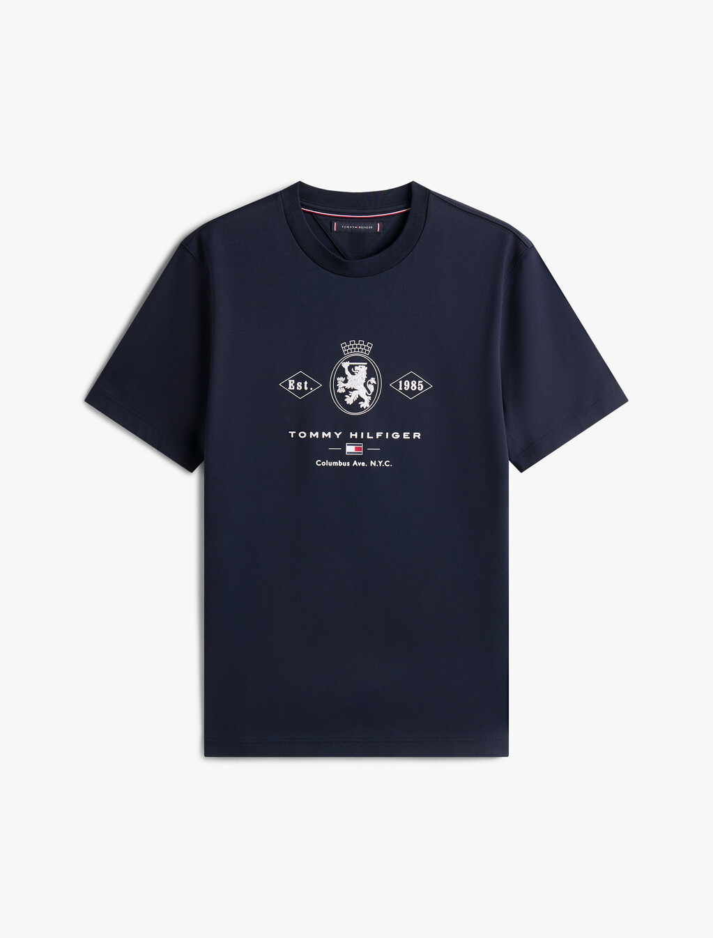 Varsity Graphic Interlock Knit T-Shirt, Desert Sky, hi-res