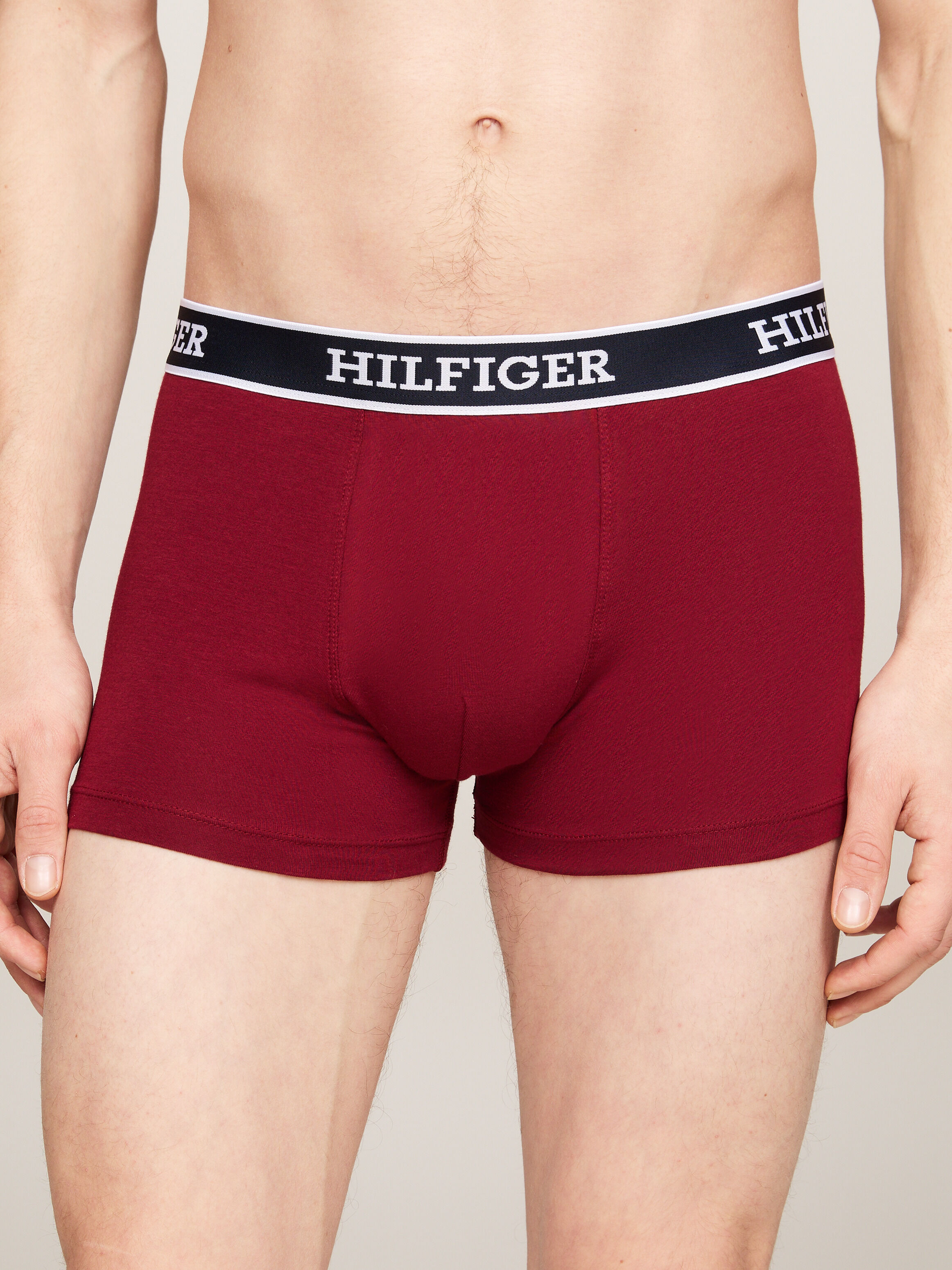 Men s Sale Underwear 11.11 Sale Up to 60 off Tommy Hilfiger Singapore