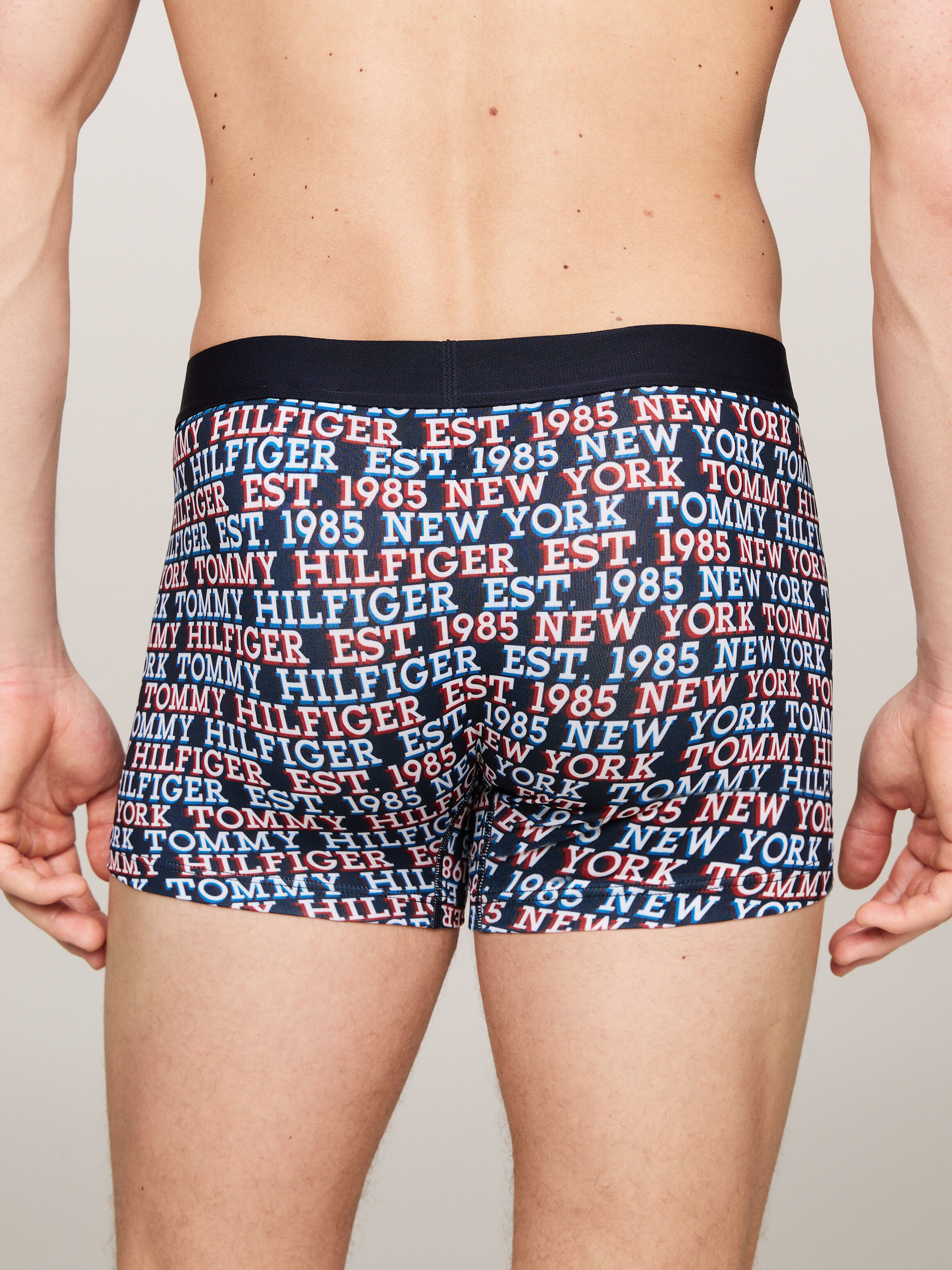 Tommy Hilfiger Um0um02854 Boxers Multicolor L Man