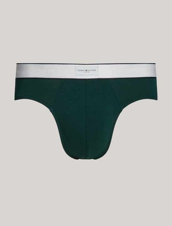 Th Established Waistband Logo Briefs