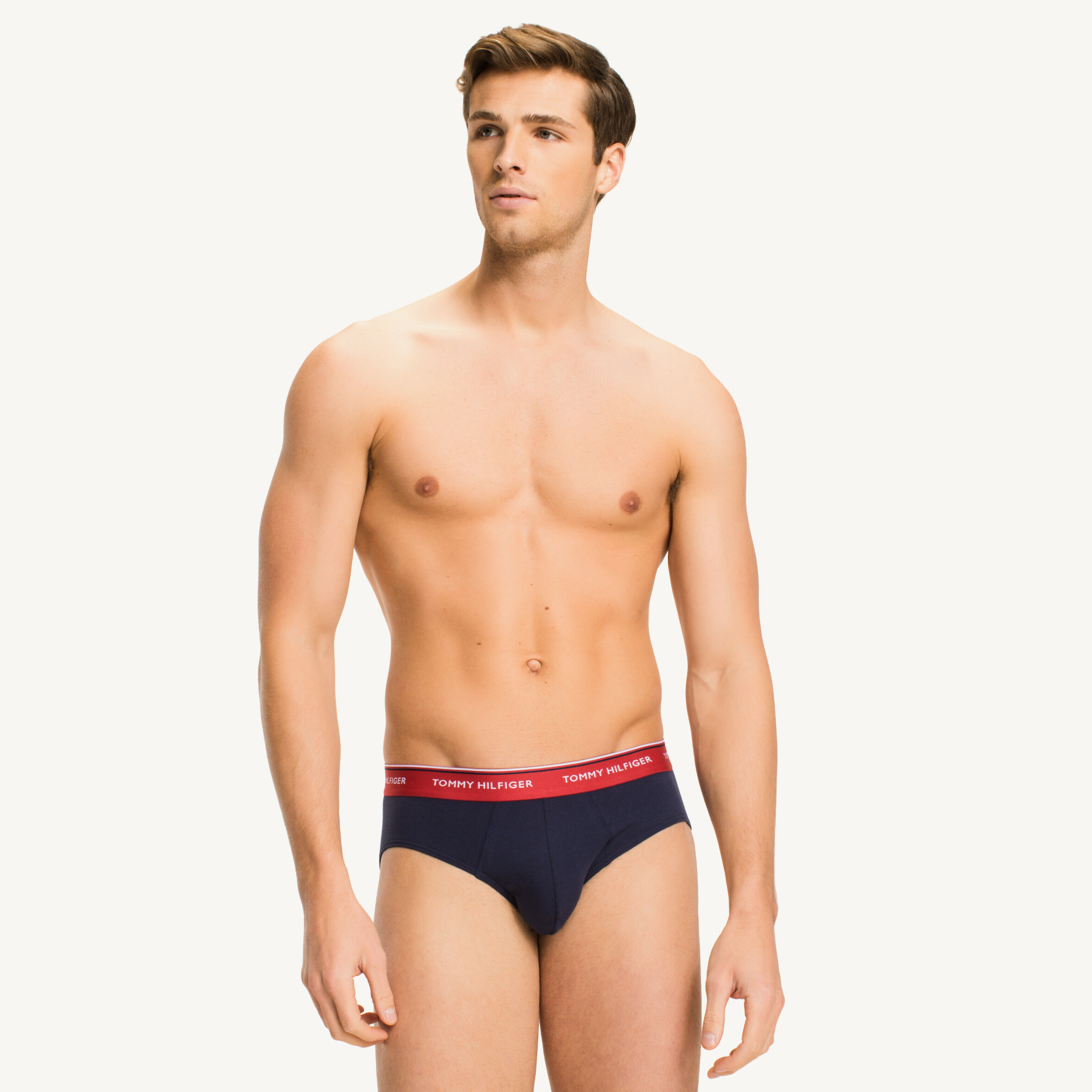 Men s Briefs Tommy Hilfiger Singapore
