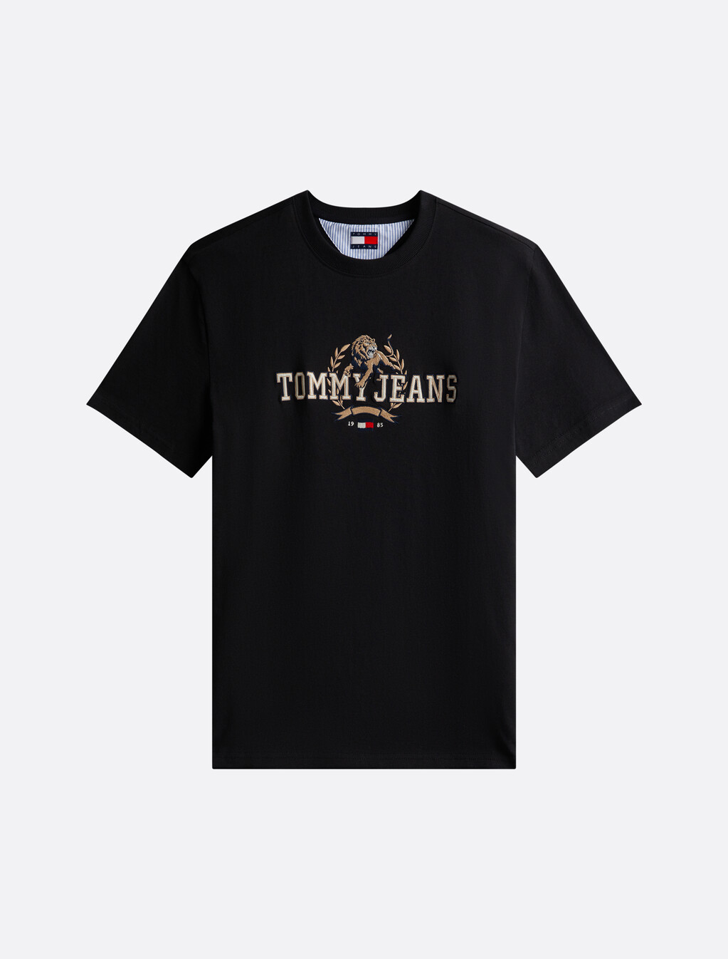 Regular Varsity Novelty T-Shirt, Black, hi-res