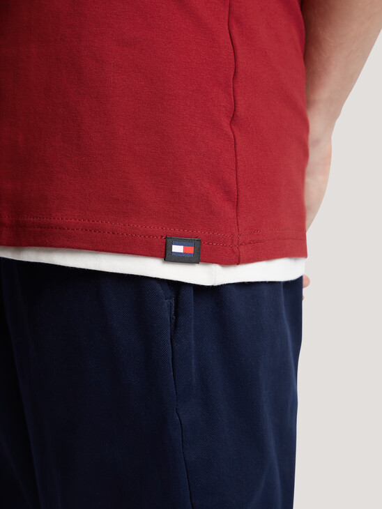 Flag Embroidery Regular Fit T-Shirt
