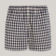 Gingham/ Desert Sky