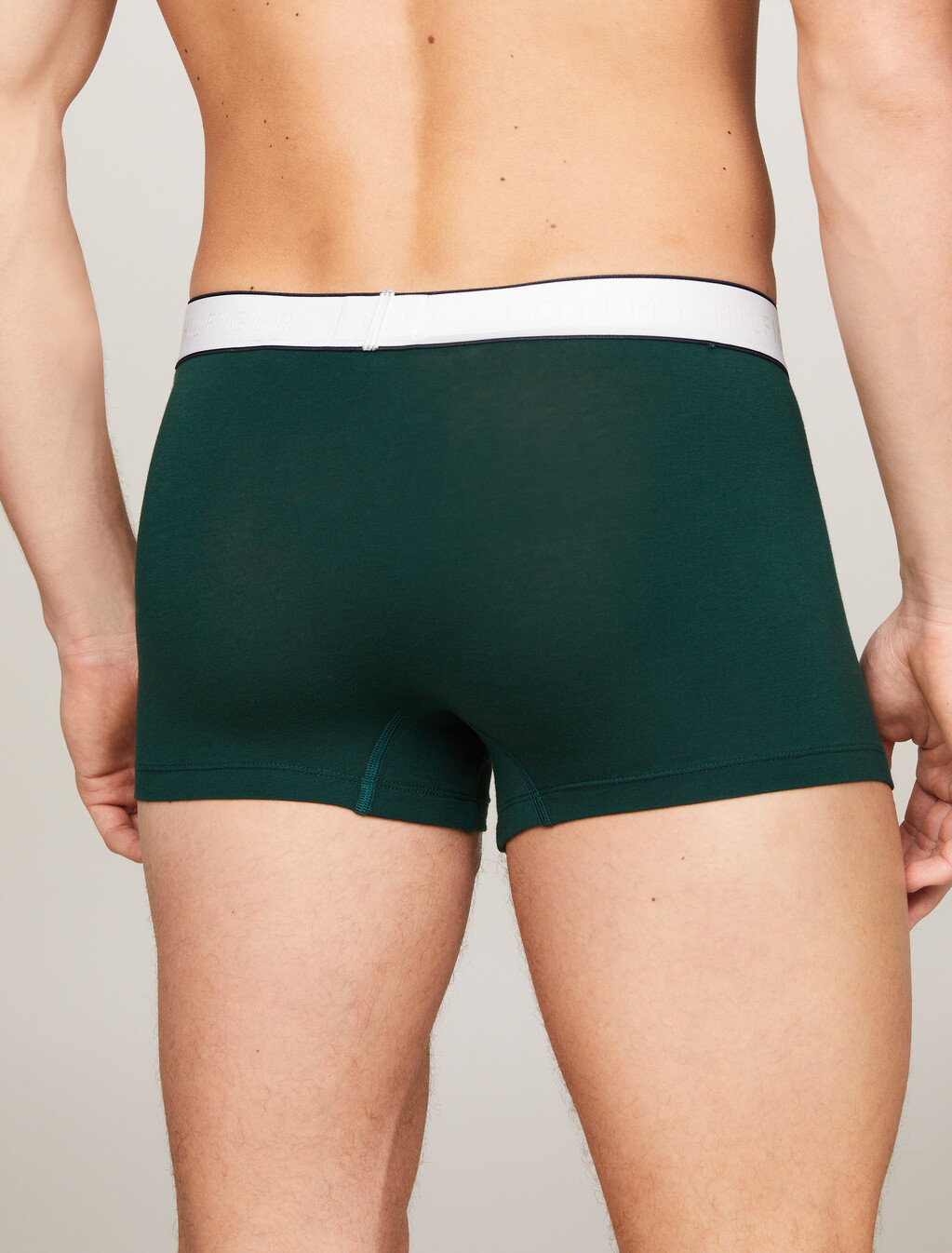 TH Established Waistband Logo Trunks, Hunter, hi-res