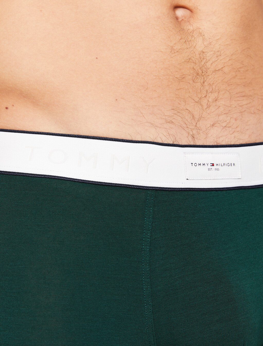 TH Established Waistband Logo Trunks, Hunter, hi-res
