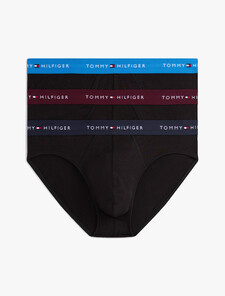 3-Pack Signature Logo Waistband Briefs, Dp Brg/Blu Com/Des Sky, hi-res