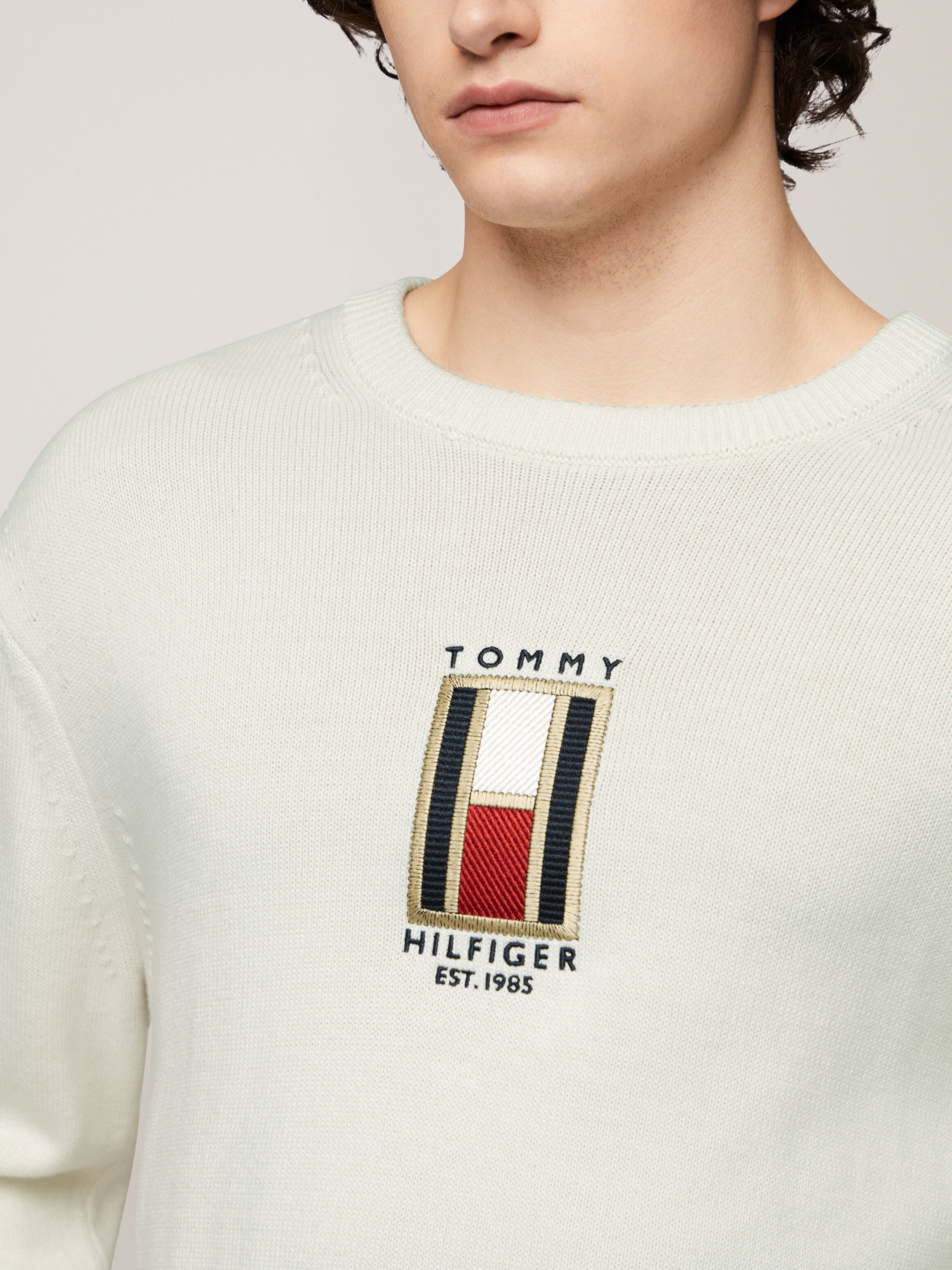Men s Knitwear 11.11 Sale Up to 60 off Tommy Hilfiger Singapore