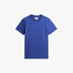 Pigment Blue