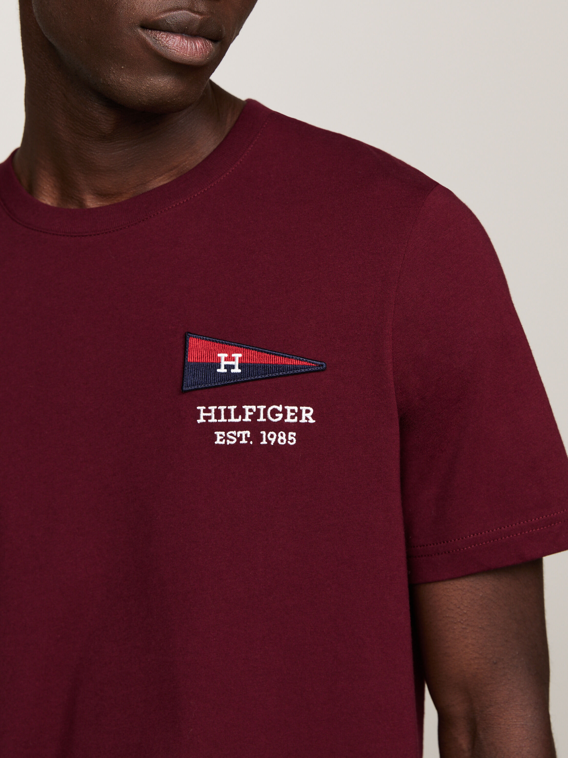 Exclusive Hilfiger Flag Crew Neck T Shirt purple Tommy Hilfiger Singapore