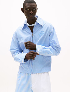 The Runway Collection Ithaca Stripe Ivy Jacket, Blue Stripe, hi-res