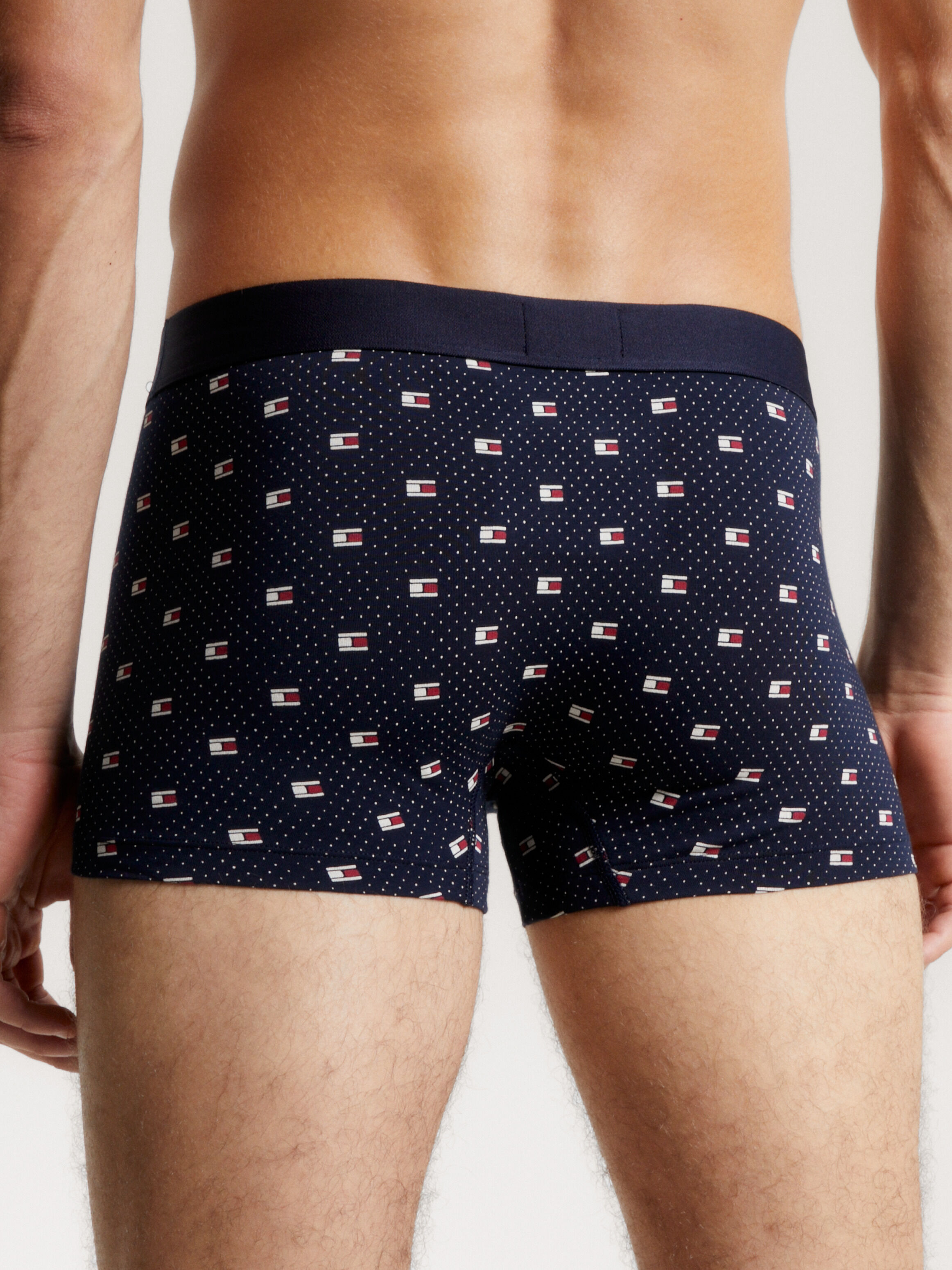 Men s Trunks Tommy Hilfiger Singapore