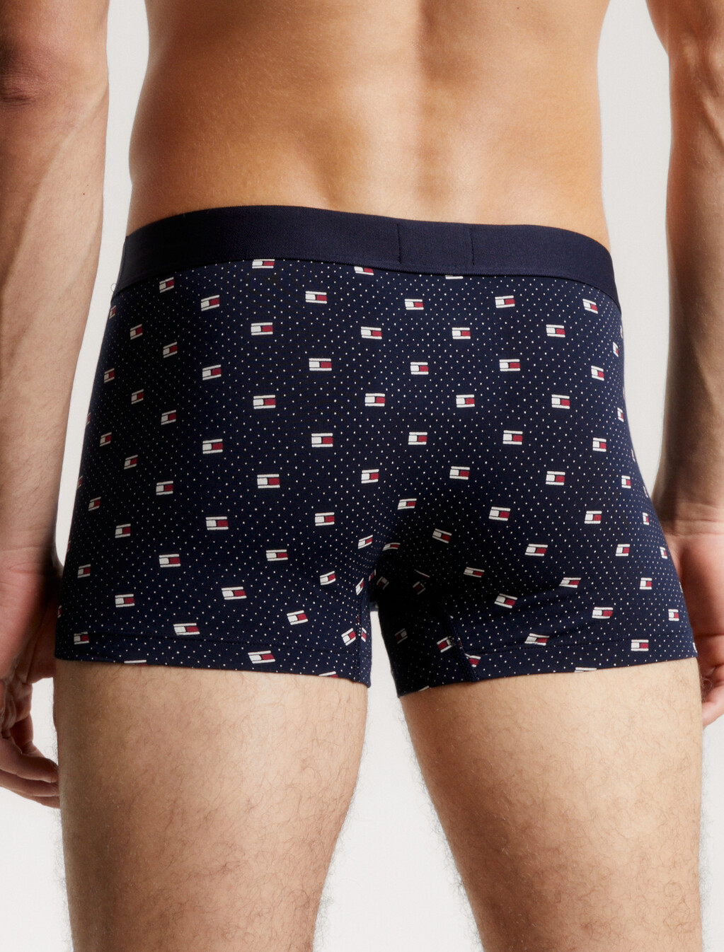 Print Trunks, Polka Dot Flag Geo Desert Sky, hi-res