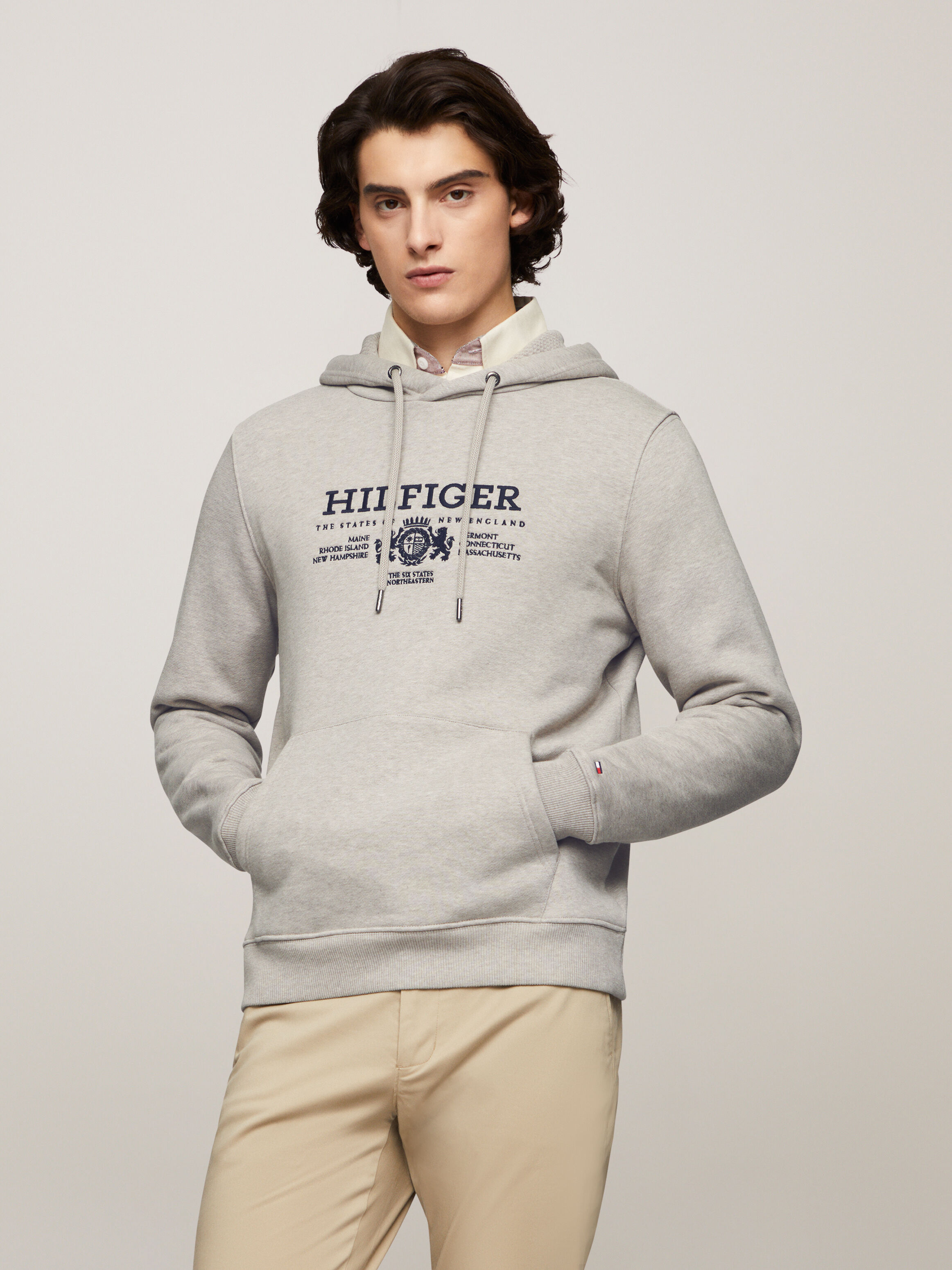 Men s Hoodies Tommy Hilfiger Singapore