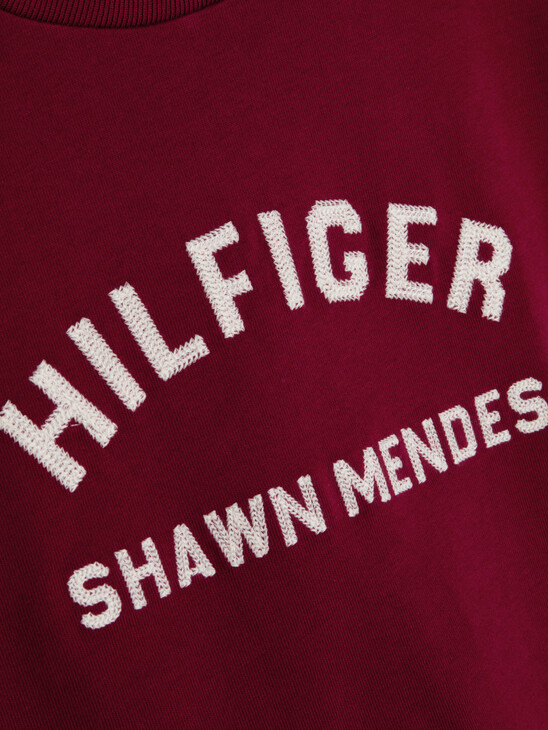 TOMMY HILFIGER X SHAWN MENDES CROPPED T-SHIRT