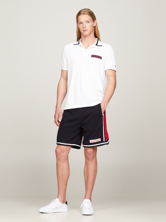 Tipped Logo Embroidery Regular Fit Polo