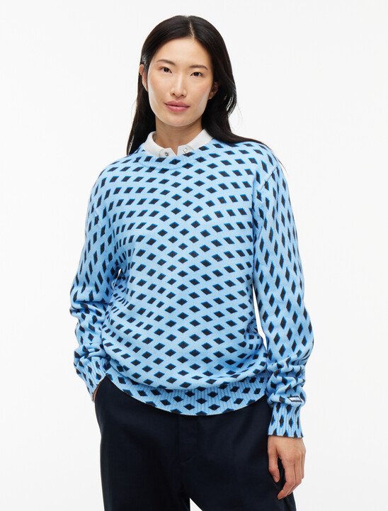 Check Regular Jumper
