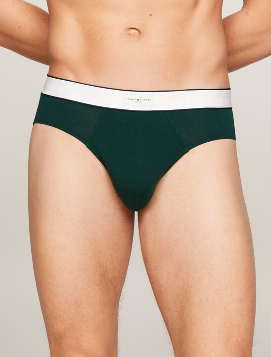 Th Established Waistband Logo Briefs